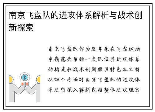 南京飞盘队的进攻体系解析与战术创新探索