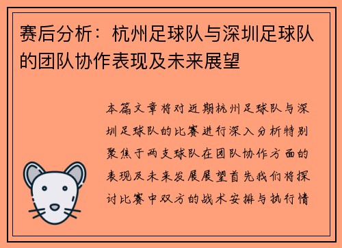 赛后分析：杭州足球队与深圳足球队的团队协作表现及未来展望