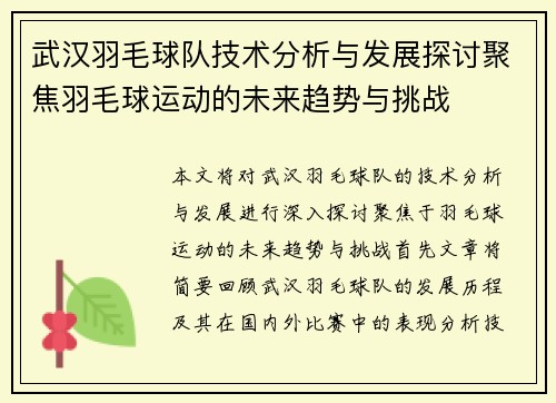 武汉羽毛球队技术分析与发展探讨聚焦羽毛球运动的未来趋势与挑战